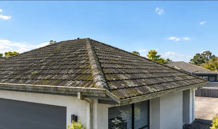 Illustration: tiled roof covered in moss, lichen and black mould before a soft wash