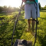 Man mowing lawn with push mower on a sunny day, vibrant green grass.